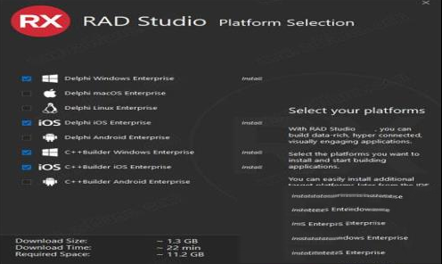 -RAD Studio 11破解补丁