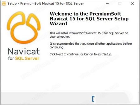 -Navicat for SQL Serverv15.0.6破解版