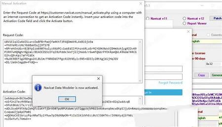 -Navicat Data Modeler 3v3.0.2破解版(附注册机)