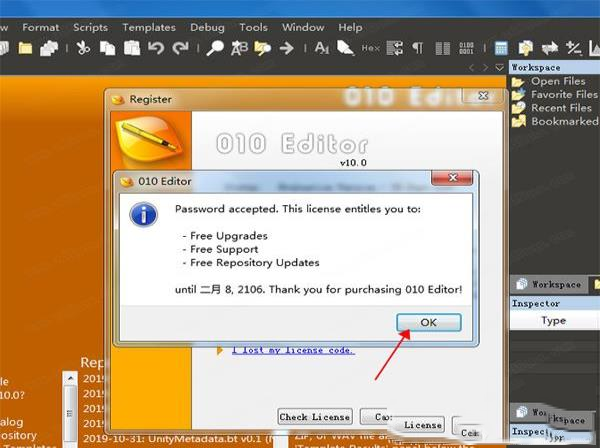 -010 Editorv10.0破解版