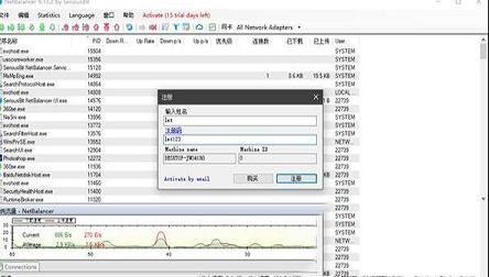 -NetBalancerv9.13中文版