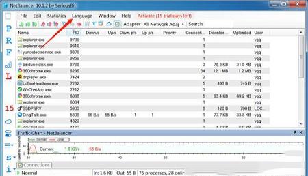 -NetBalancer10v10.1.2.2393中文破解版