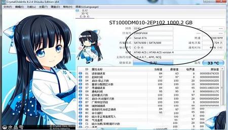 -CrystalDiskInfov8.8.8绿色精简版