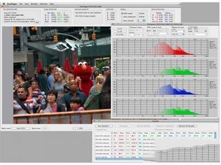 原始图像分析工具下载-rawdiggerv1.4.1.68破解版(附破解补丁)