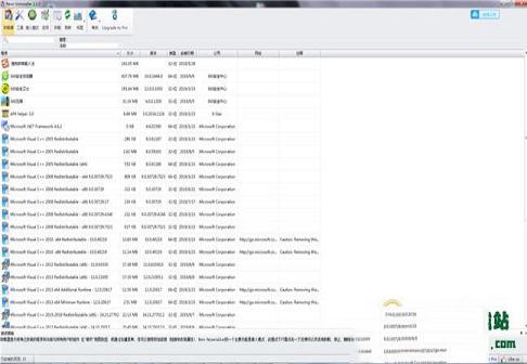 -Revo Uninstaller Pro(卸载软件)v4.3.8.0 免费中文版