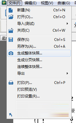 连续整体快照