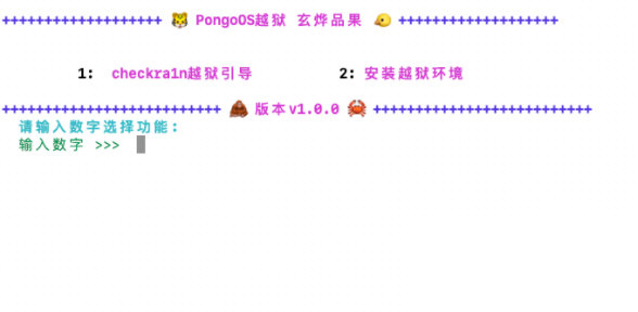 checkra1n 1.0.1 for win下载