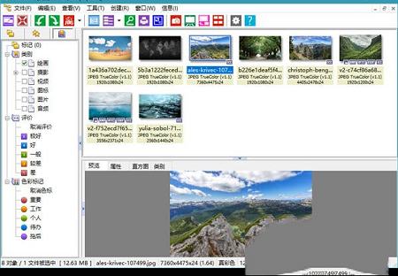 XnView下载-XnViewv2.49.4中文绿色版