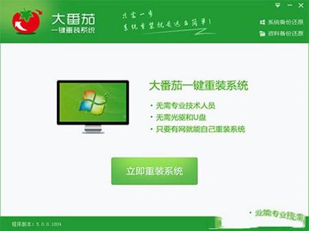 -大番茄一键重装系统v2.0.3.213官方版