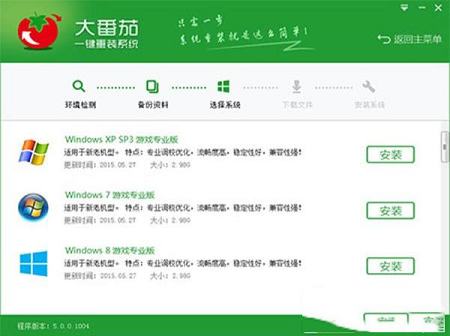 -大番茄一键重装系统v2.0.3.213官方版