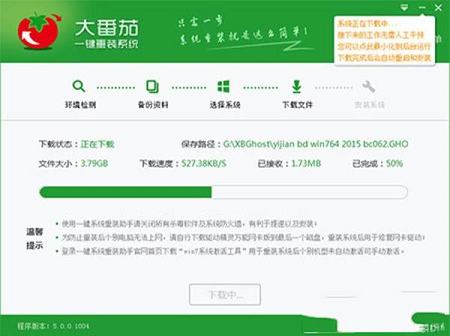 -大番茄一键重装系统v2.0.3.213官方版