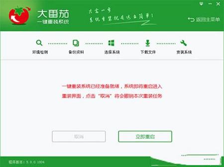 -大番茄一键重装系统v2.0.3.213官方版
