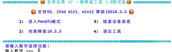 Dkdown下载-Dkown(苹果降级10.3.3工具) V1.1.0 最新免费版