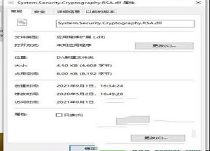 System.Security.Cryptography.RSA.dll文件