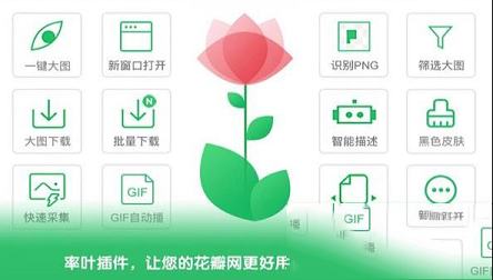 -率叶插件v2.0.9.3官方版