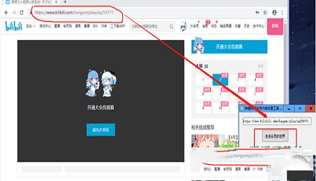 -哔哩哔哩会员番剧解锁工具v1.0免费版