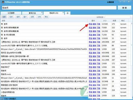 -p2psearcher(种子搜索神器)v6.4.8绿色免安装版