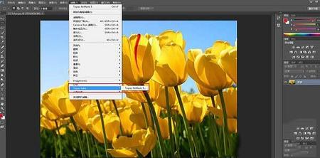ps抠图滤镜插件下载-topaz remaskv5.0破解版