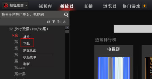 搜狐影音下载选项
