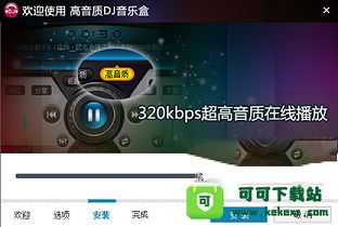 高音质dj音乐盒下载-高音质DJ音乐盒v5.1.0.15 官方电脑版
