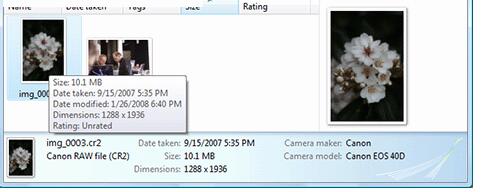 -佳能cr2转jpg软件下载 v3.12.52.0 中文免费版