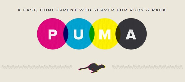 Puma服务器-Puma网络服务器下载 v5.2.1官方版