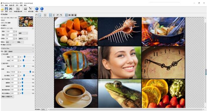 PhotoZoom Pro 8破解版-PhotoZoom Pro 8(图片无损放大软件)下载 附安装使用教程