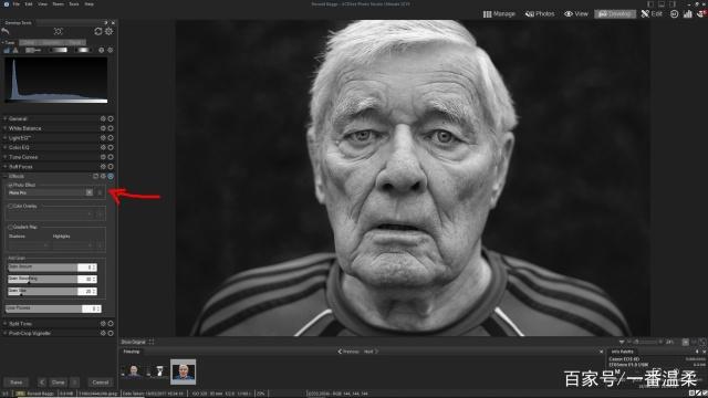 ACDSee Pro 2021破解版-ACDSee Photo Studio Professional 2021下载 v14.0免费版