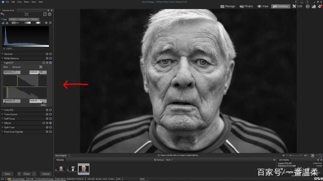 ACDSee Pro 2021破解版-ACDSee Photo Studio Professional 2021下载 v14.0免费版