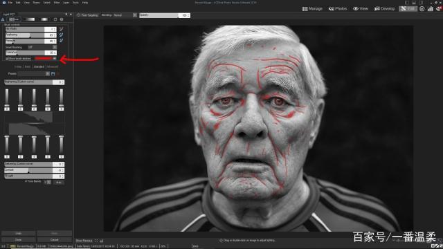 ACDSee Pro 2021破解版-ACDSee Photo Studio Professional 2021下载 v14.0免费版