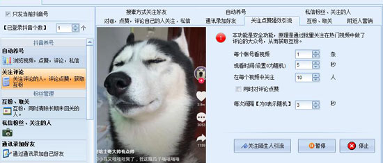 -石青抖音运营专家下载 v1.1.4.1绿色版 附教程