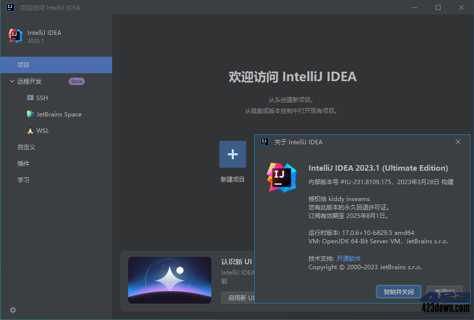 IntelliJ IDEA 2023.1.2 IDEA2023中文激活版下载