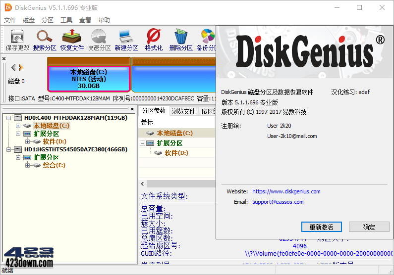 DiskGenius Professional 5.5.0.1488 Crack下载