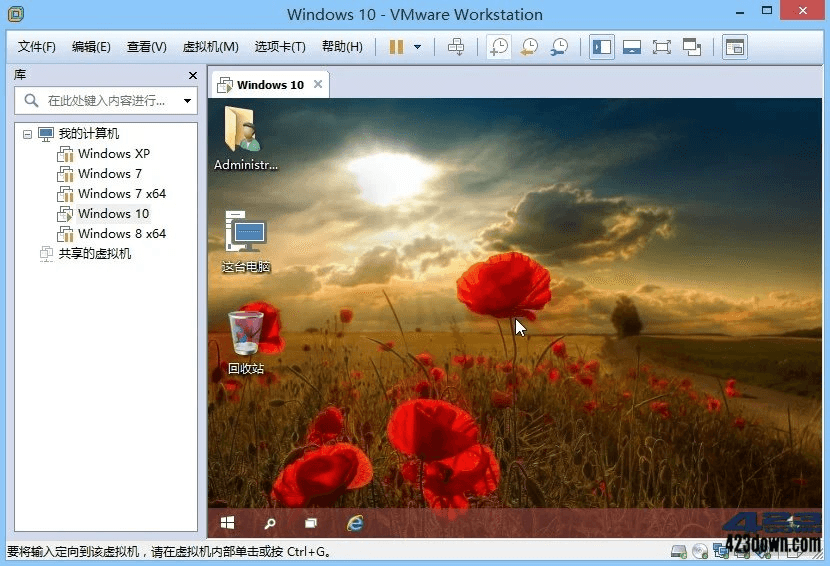 VMware Workstation PRO_v16.2.5_正式版下载