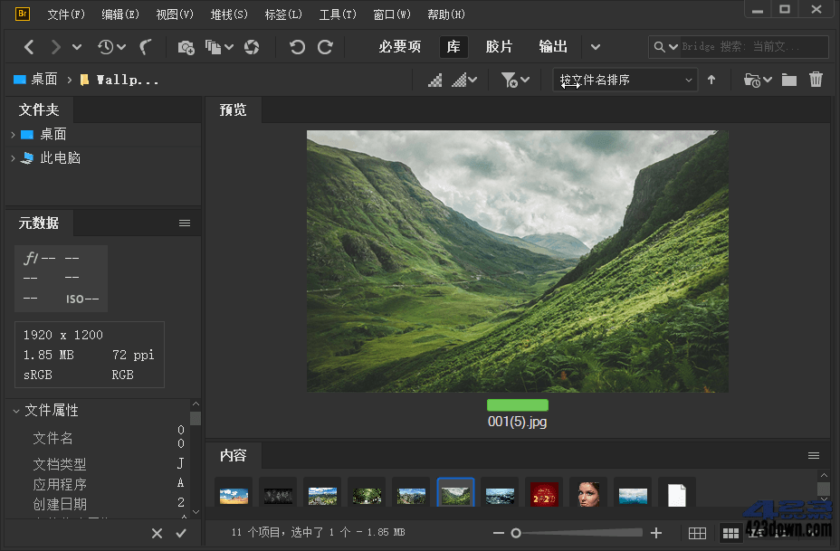 Adobe Bridge 2022 (v12.0.3.270)_Repack