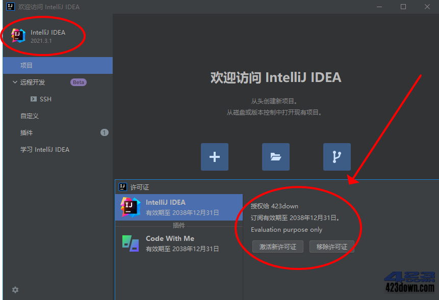 JetBrains系列产品永久激活插件(2022.08.01)