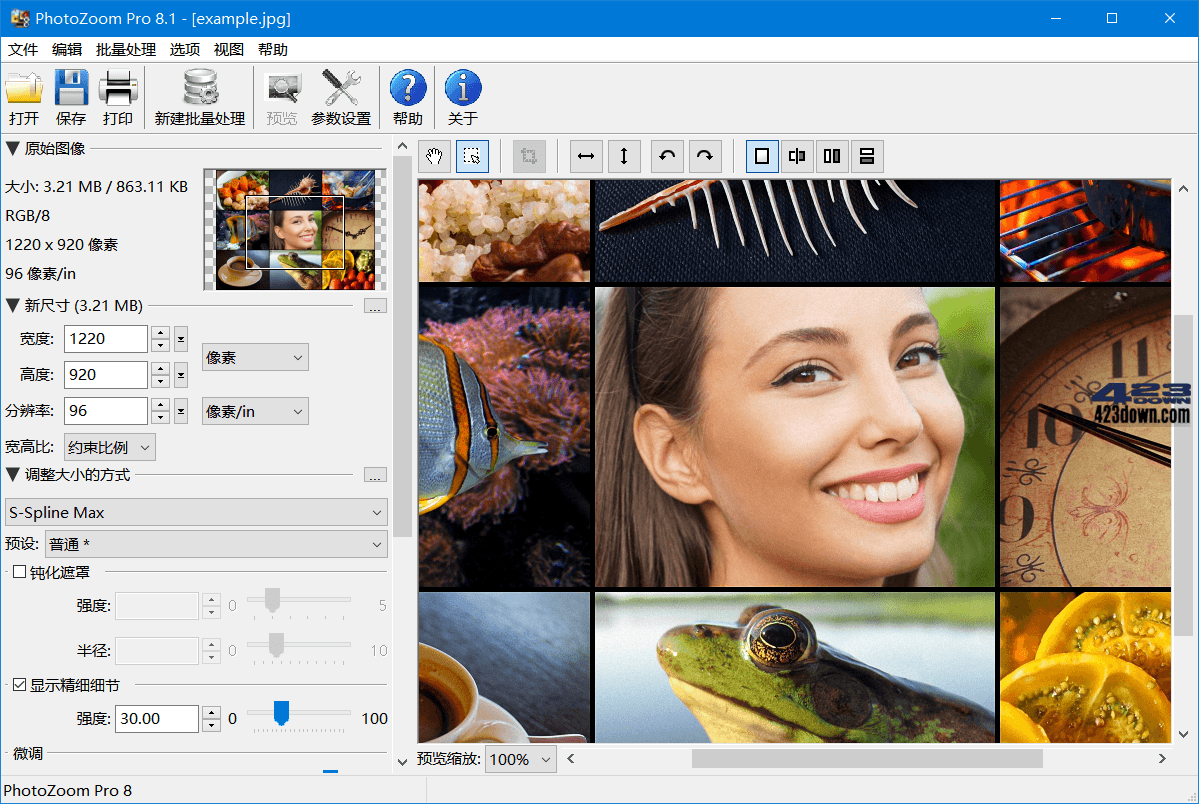 PhotoZoom破解版(图片无损放大神器)v8.1.0下载