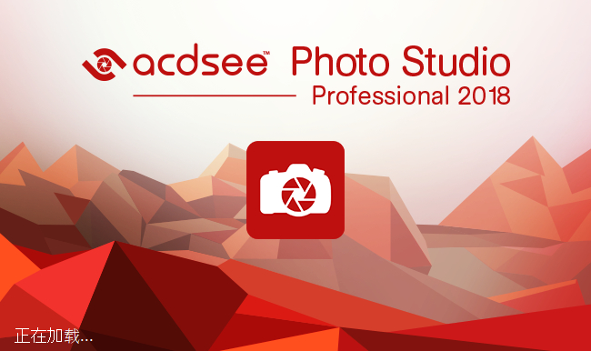 ACDSee Professional 11.2.888 汉化特别版下载