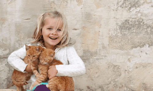 手机擦图去水印神器TouchRetouch V4.1