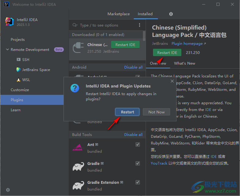 IntelliJ IDEA 2023汉化破解补丁
