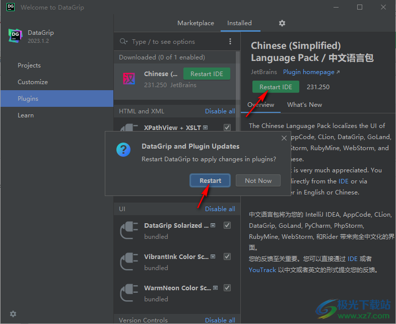 DataGrip 2023汉化破解补丁