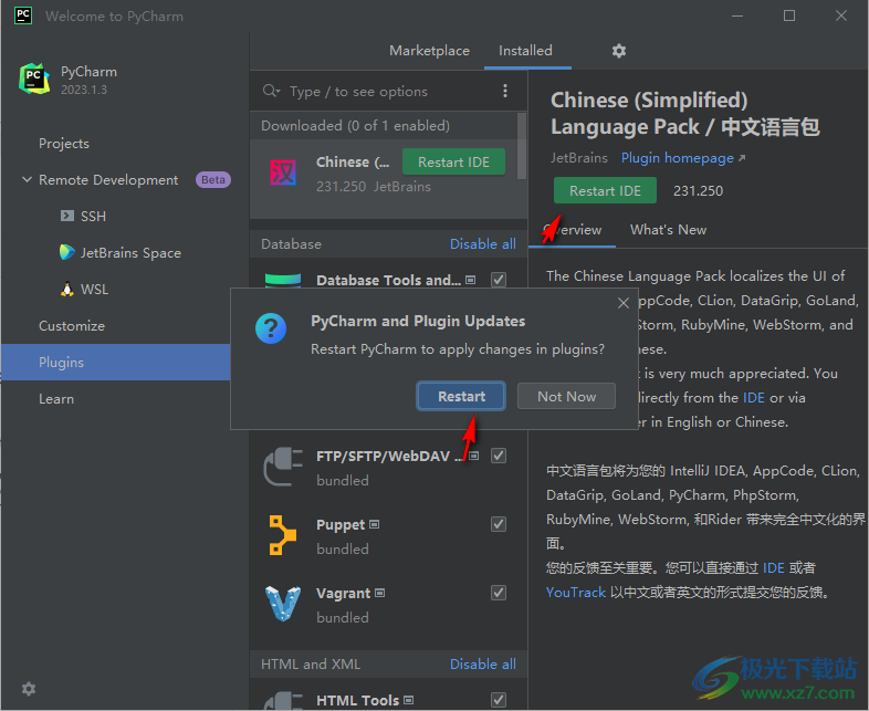 PyCharm Pro2023汉化补丁