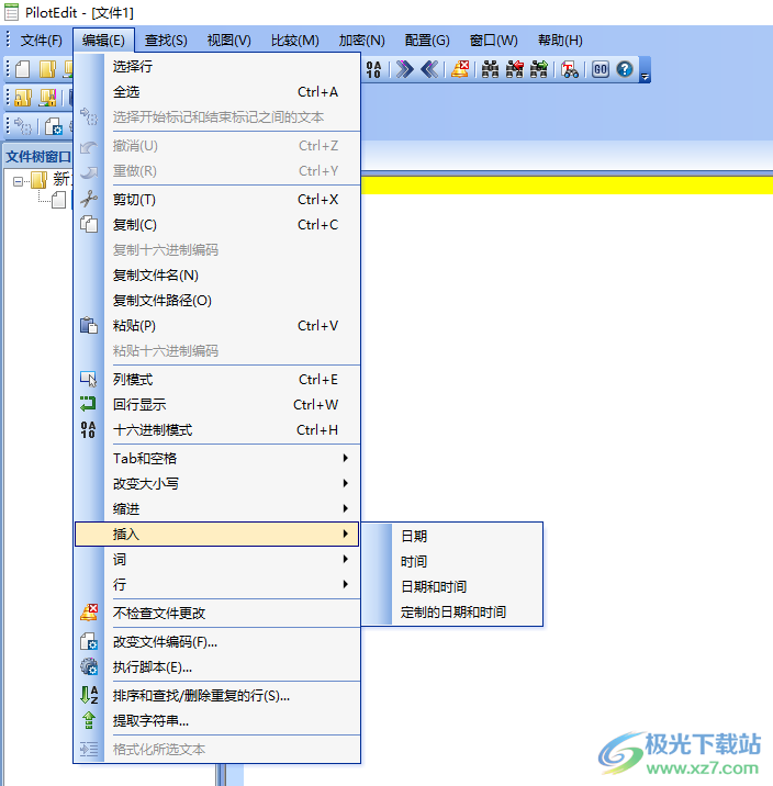PilotEdit 16中文破解版