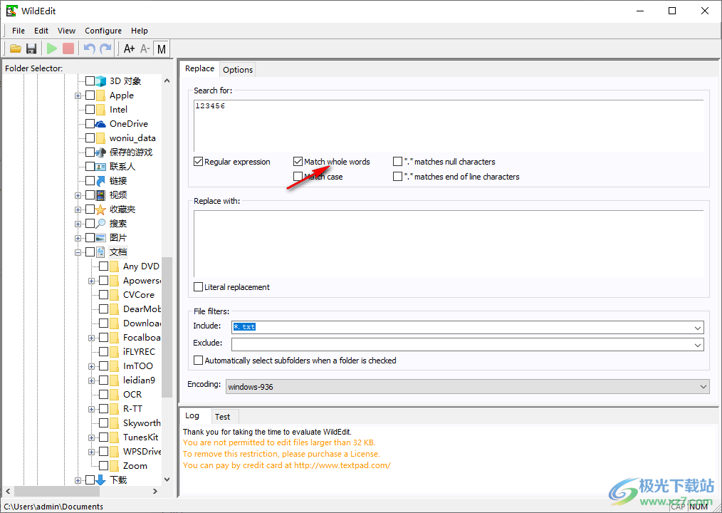 WildEdit(代码修改)
