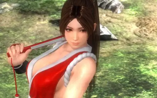 死或生5最后一战mod