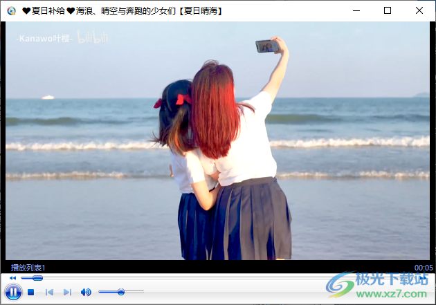 Password Protect Video Master(视频加密软件)