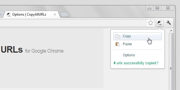 copy all urls下载-copy all urls插件v2.10 免费版