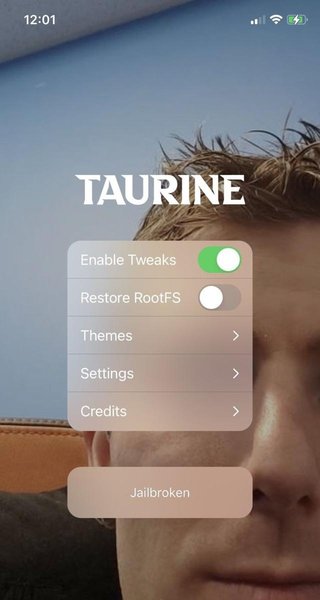 taurine越狱工具下载-taurine越狱插件v1.0.2 苹果版