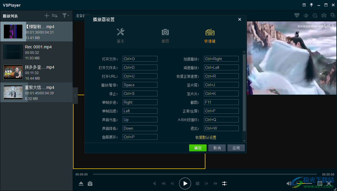 海康录像播放器(VSPlayer)