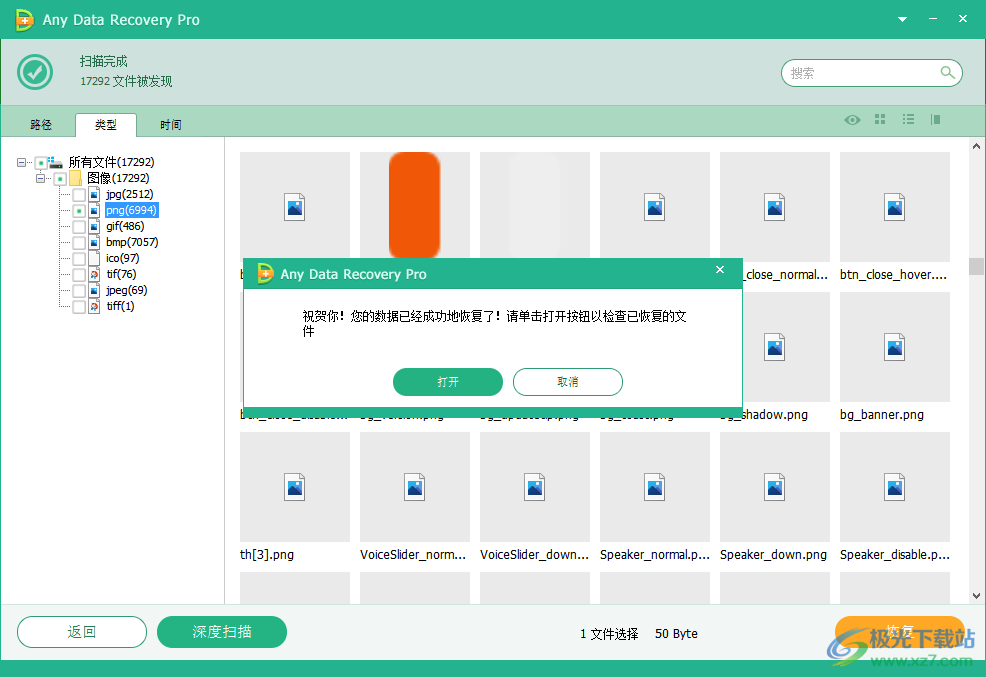 Any Data Recovery Pro(数据恢复软件)